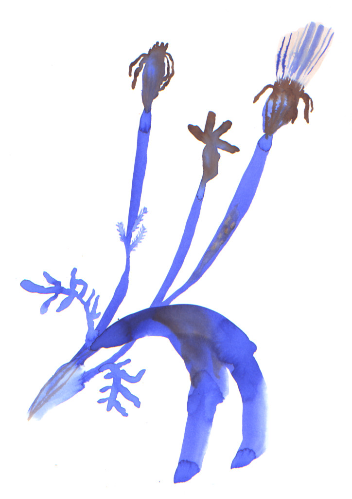 ink flower